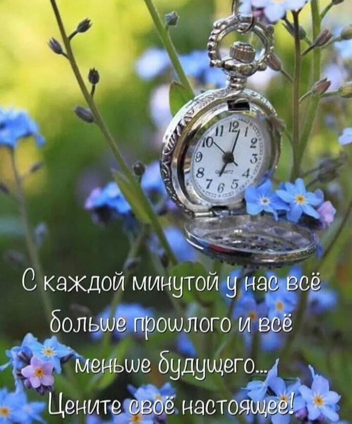 А у Вас летние настроение 🤗