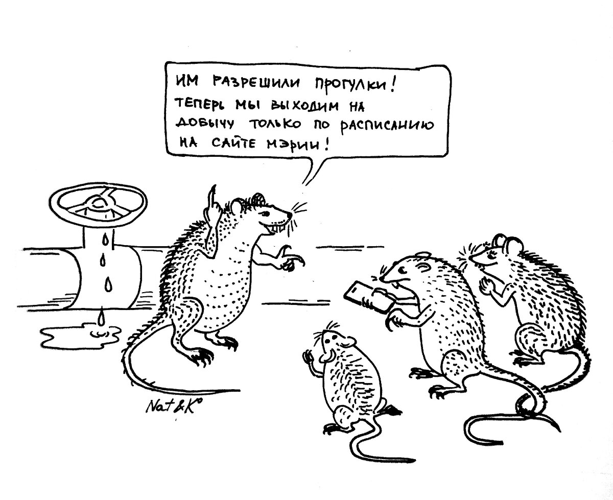 Рисунок жены по моему сюжету.