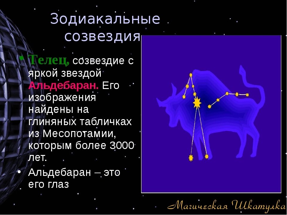 Окружающий мир созвездия. Зодиакальные созвездия. Сведения о зодиакальных созвездиях. Зодиакальное Созвездие Телец. Сведения о созвездии Телец.