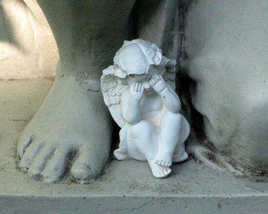 Источник фото: яндекс картинки.