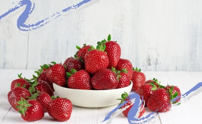 Svetl (Getty Images Pro) / Canva.com