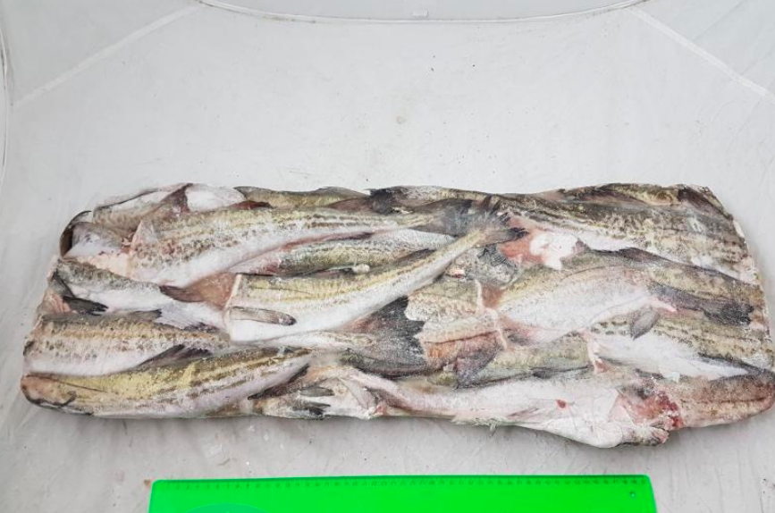 Вот такой вот пласт был у нас, только он упакован в мешковину. Источник фото Яндекс-картинки.