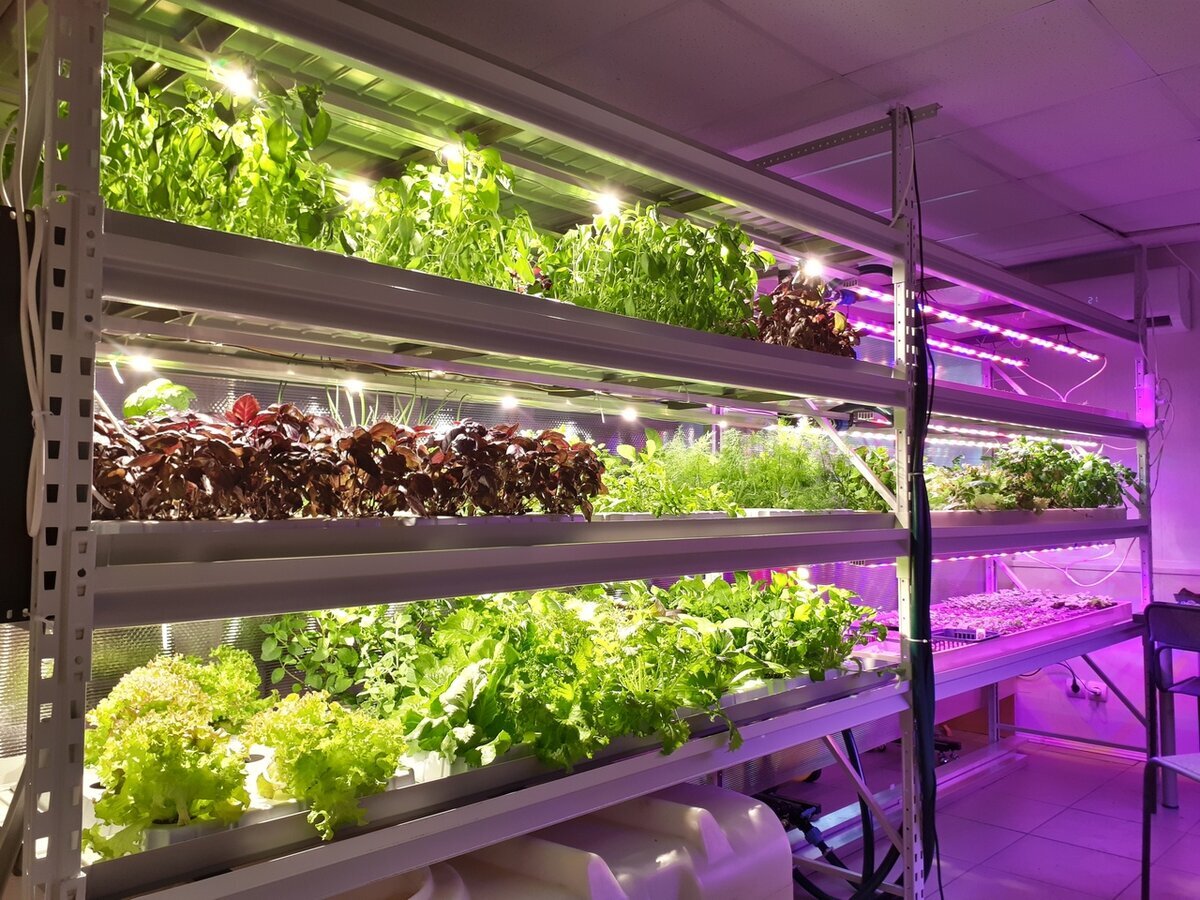 Пример мини-фермы