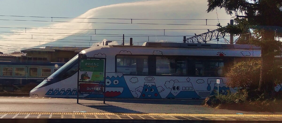 В Японии поезда и электрички на любой цвет, вкус, дальность и скорость.  