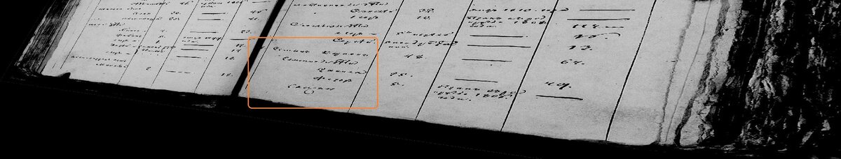 1811 г. Ревизская сказка. Семен Карпович Липаев и его семья.