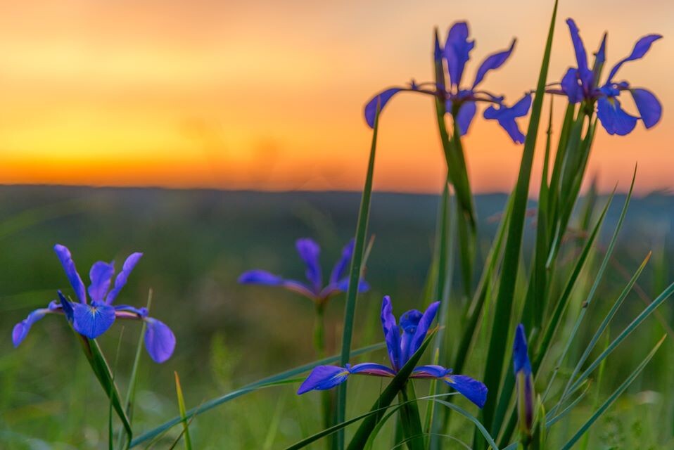 Фото Елены Брежицкой