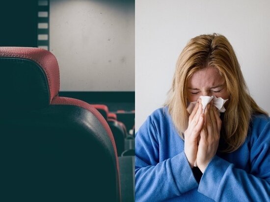 Фото - pixabay.com