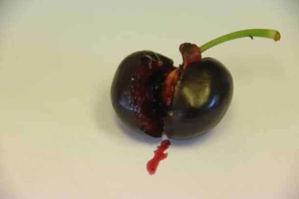 5 причин кровотечения во время и после секса