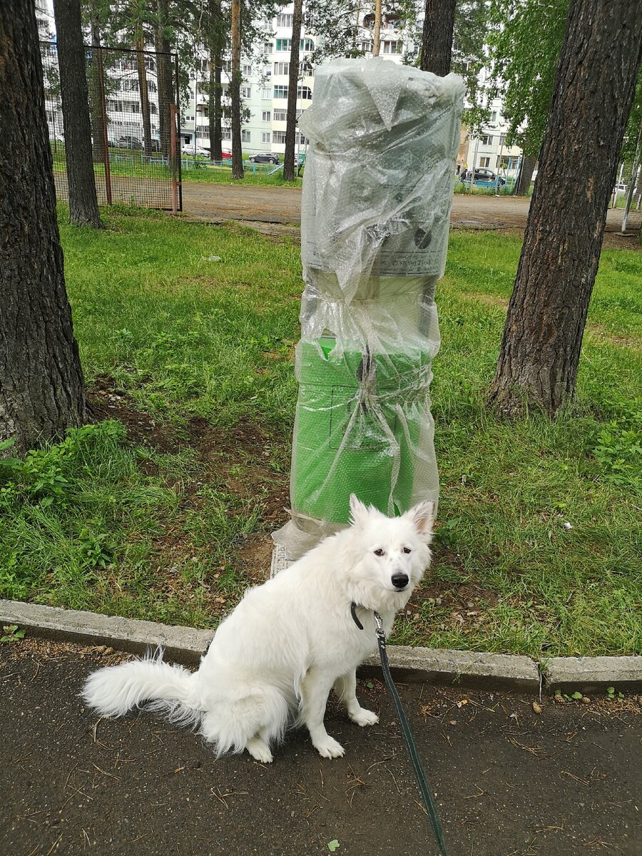Юся позирует на фоне свежеустановленного дог-бокса