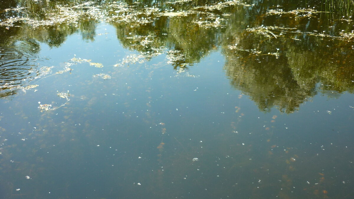 Вода в реках уфы