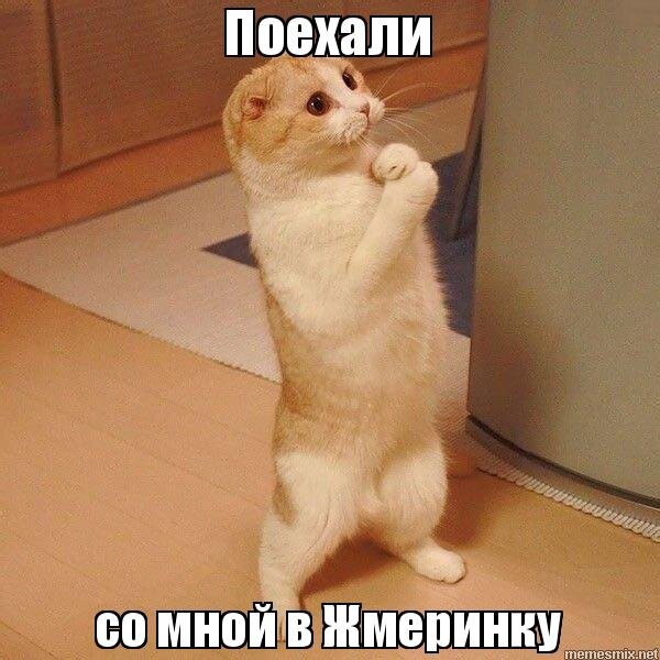 Источник: Яндекс.Картинки