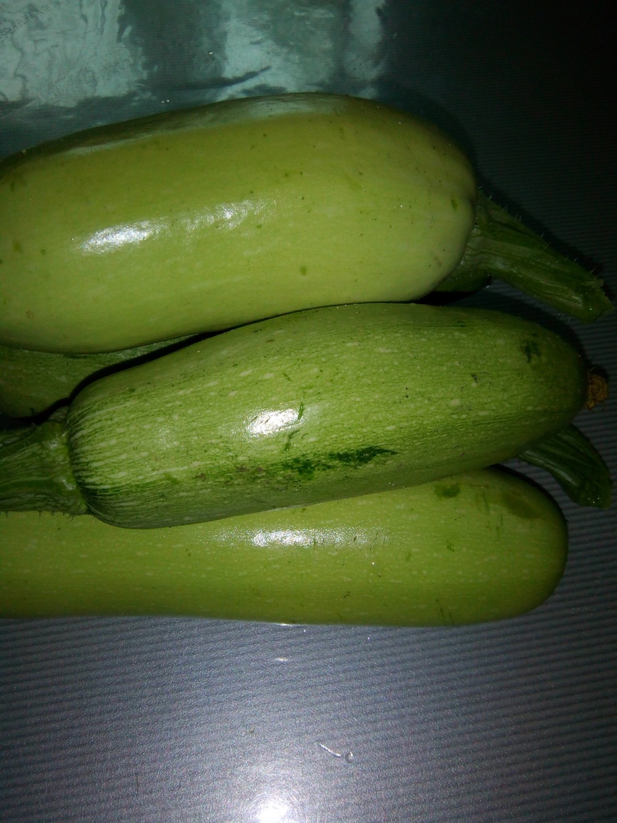 Вот они, красавцы)))