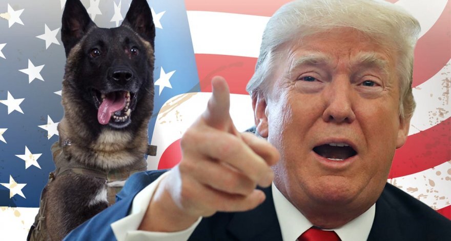 Дональд Трамп. Американская собака.