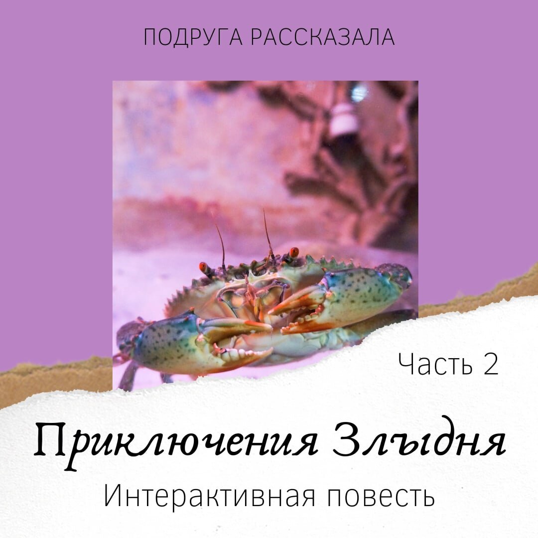 Краб по кличке злыдень. Часть 2. Подруга рассказала.