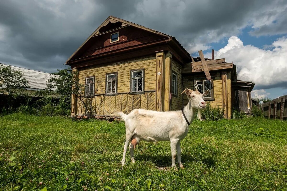 Красота родного села