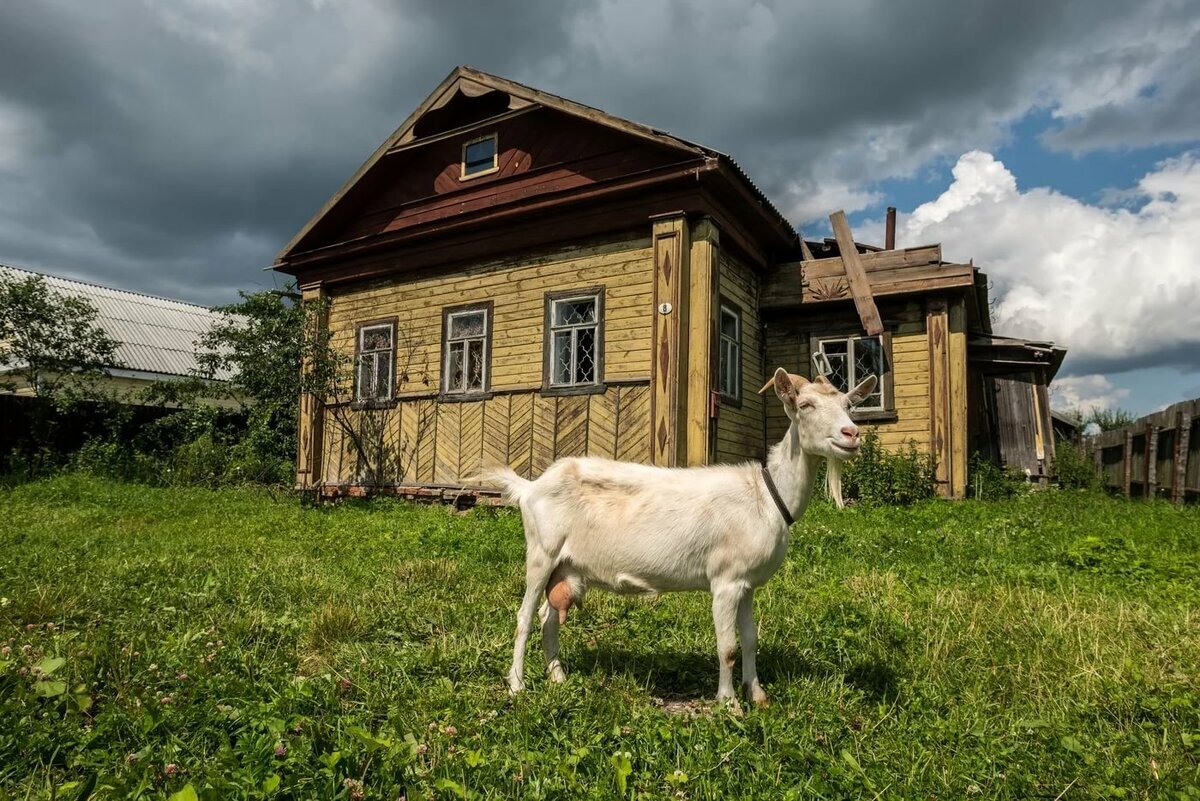 Мой дом в деревне