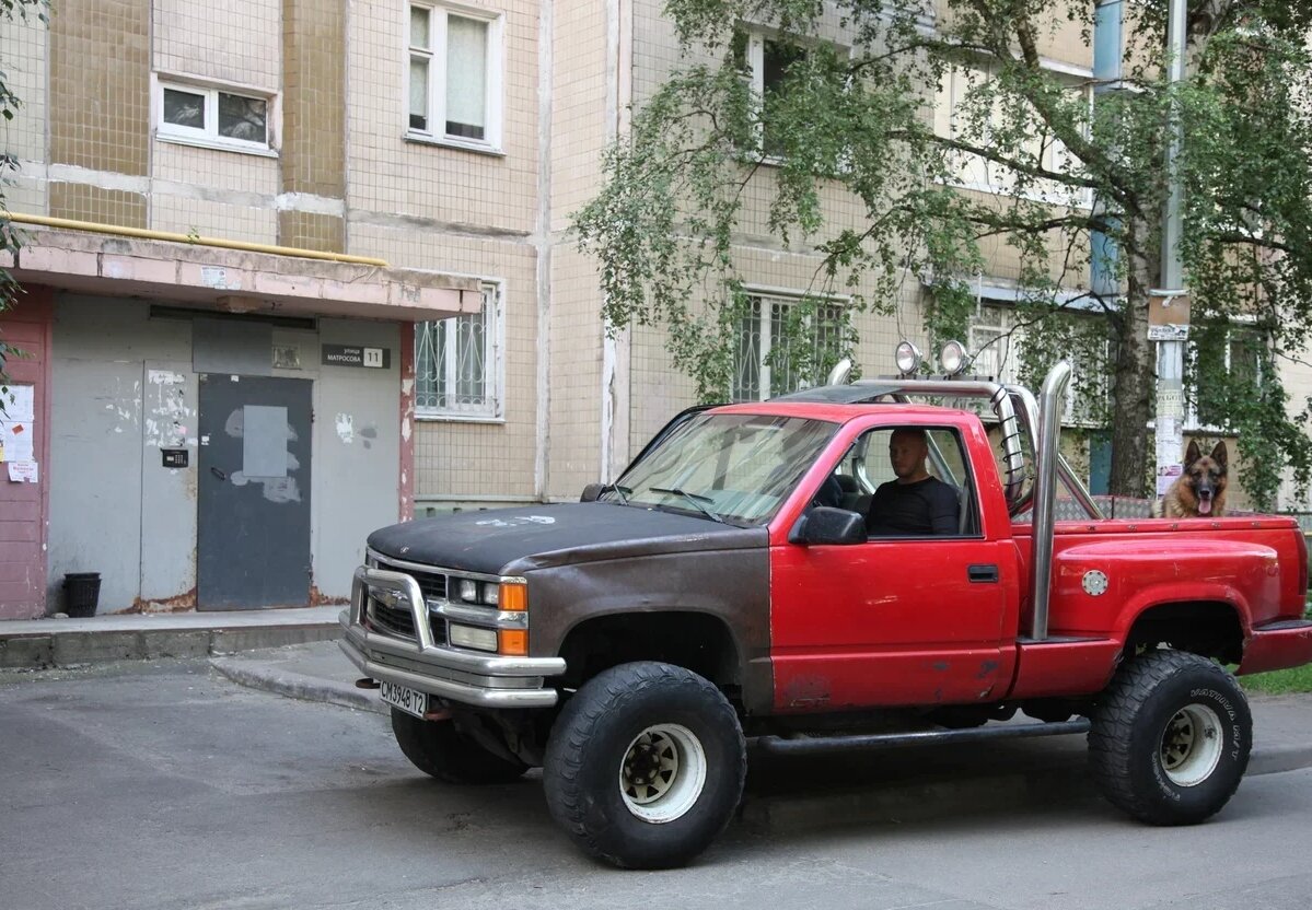 Собака в кузове пикапа