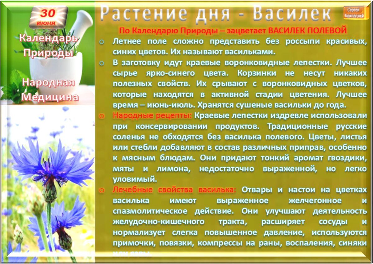 27 июня приметы