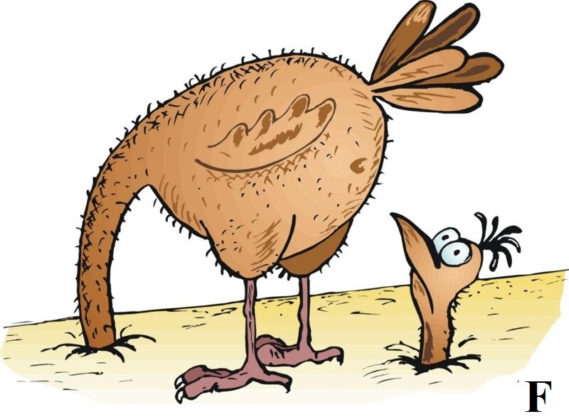 Вот такая картина. Страусиная.