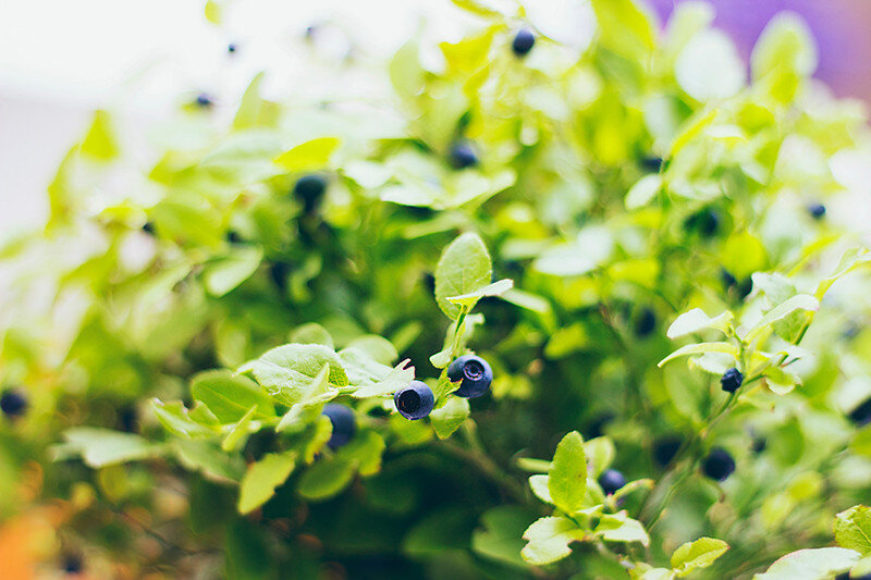 © MAJK M/UNSPLASH