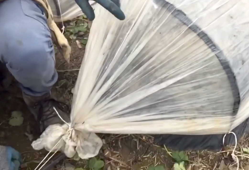 Фото из личного архива автора