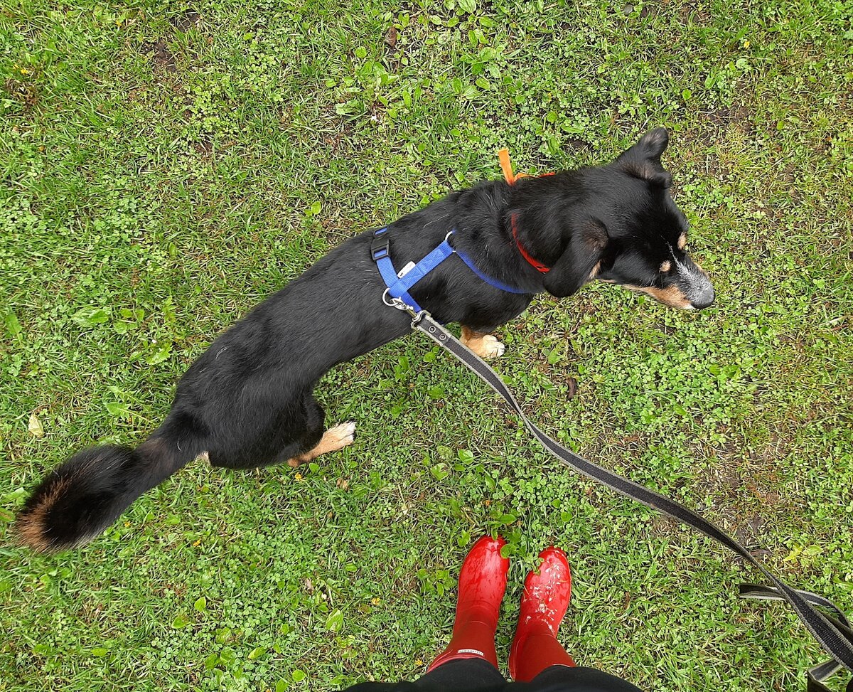 фото из личного архива