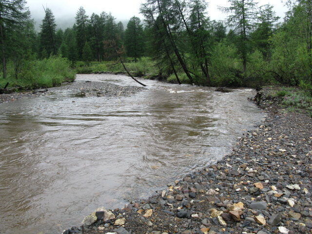 Вода в реке потемнела