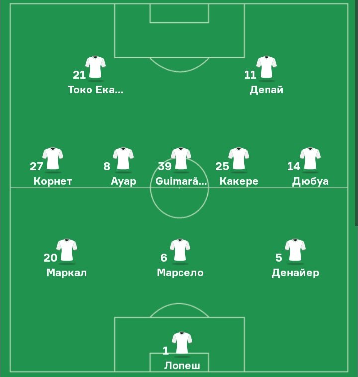 Состав Лиона