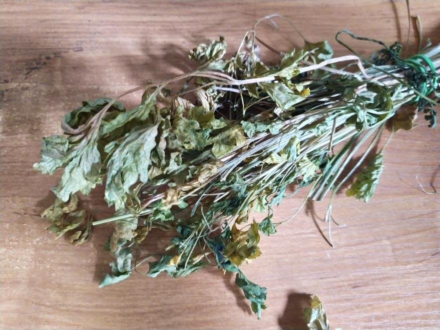 Сушеная кинза