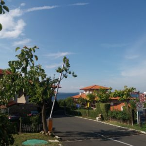 Болгария 