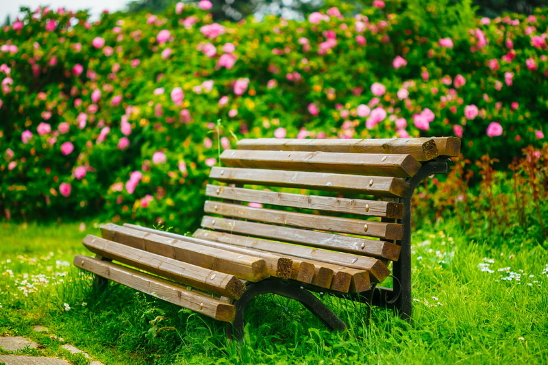 Прогноз погоды на сентябрь-есть особенности начала осени в этом году