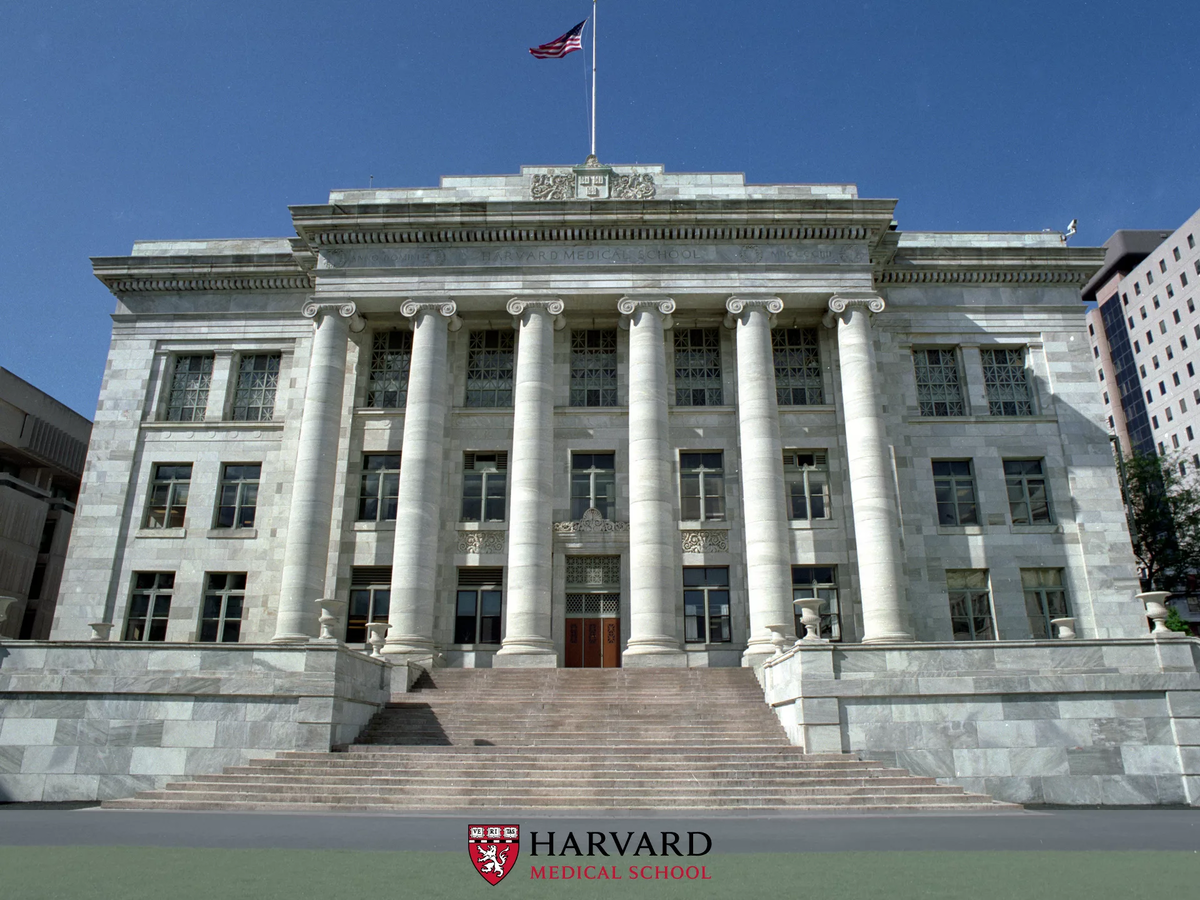 Harvard University (США) медицинская школа. Гарвардский медицинский университет. Гарвард Медикал скул. Гарвардский университет медицинский Факультет.