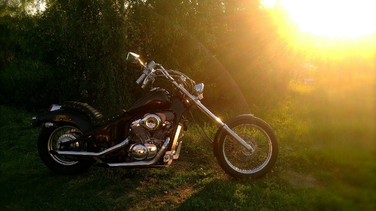 Honda Steed. Красавец. 