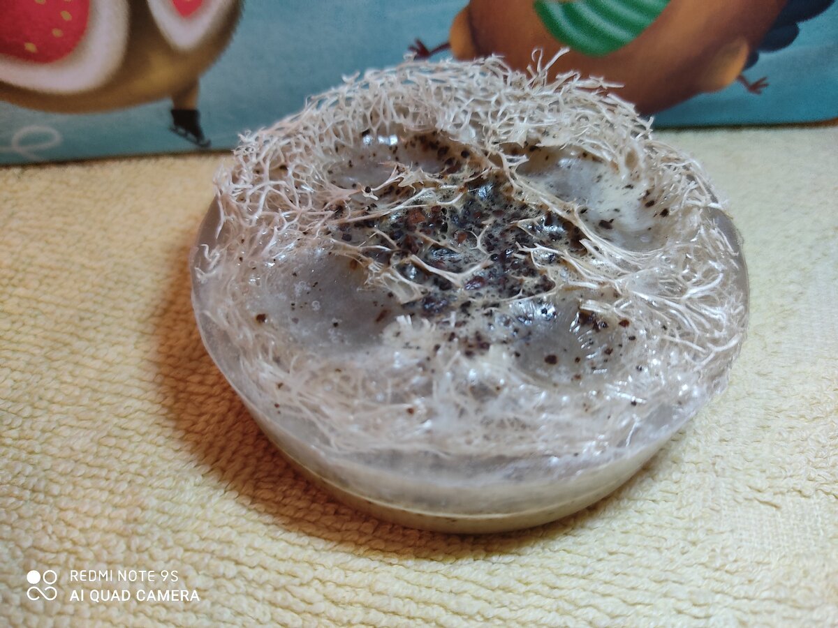 Мыло с люфой и молотым кофе.