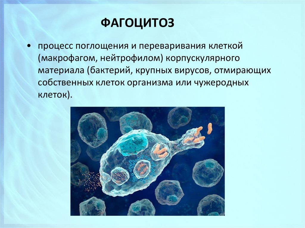 Яндекс-картинки