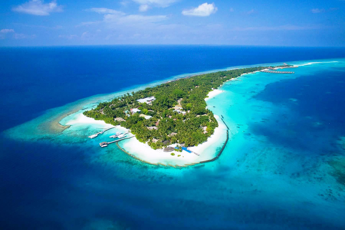 Источник фото: Яндекс 