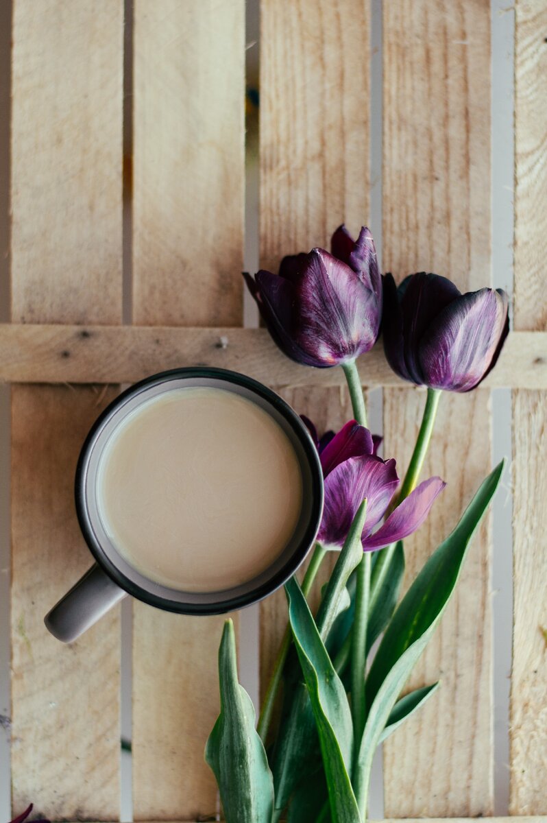 Photo by Alina Karpenko on unsplash.com 