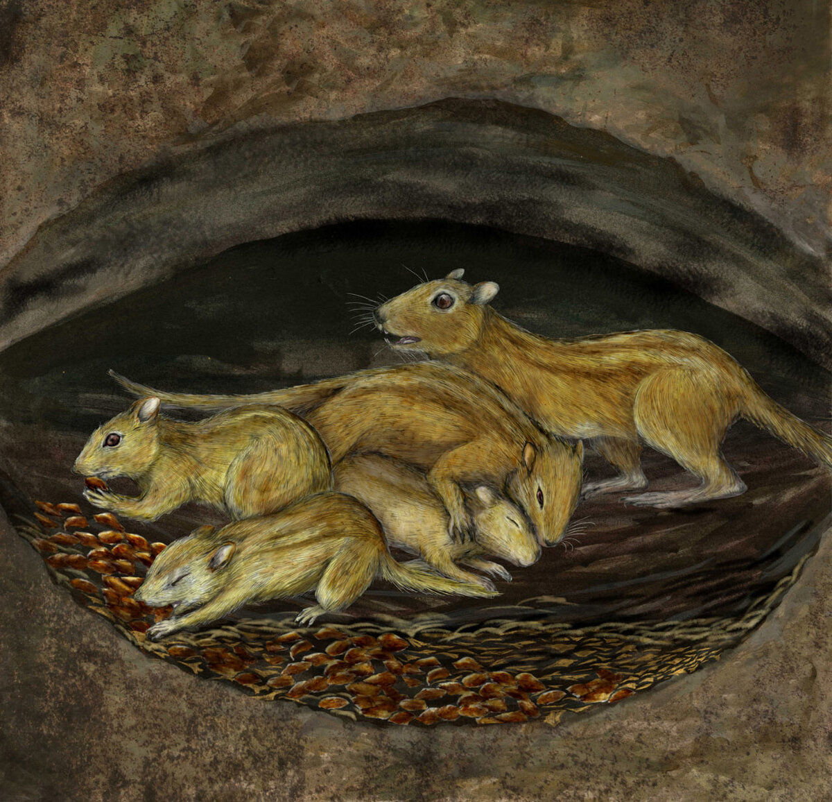 Filikomys primaevus. Иллюстрация: Misaki Ouchida.