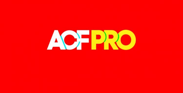 Advanced Custom Fields Pro ~ WordPress