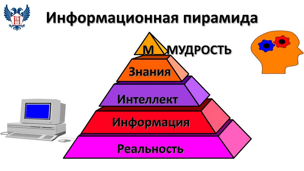 Знания и информация в организации. Информационная пирамида. Информационная пирамида организации. Знания интеллект мудрость. Пирамида знаний.