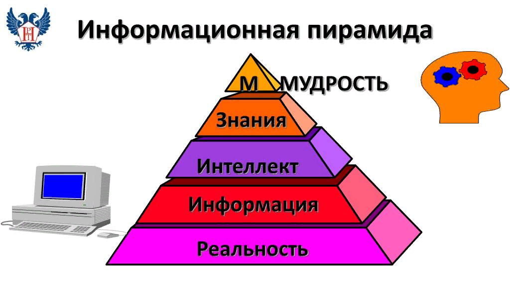 „От многой мудрости много скорби, и умножающий знание умножает печаль.“