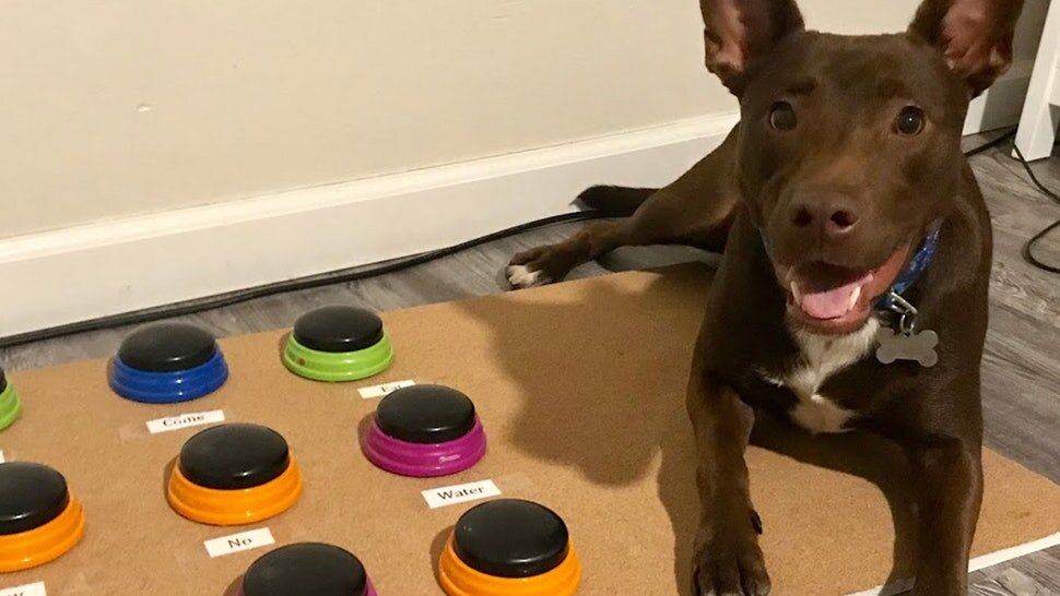 Источник: Яндекс картинки