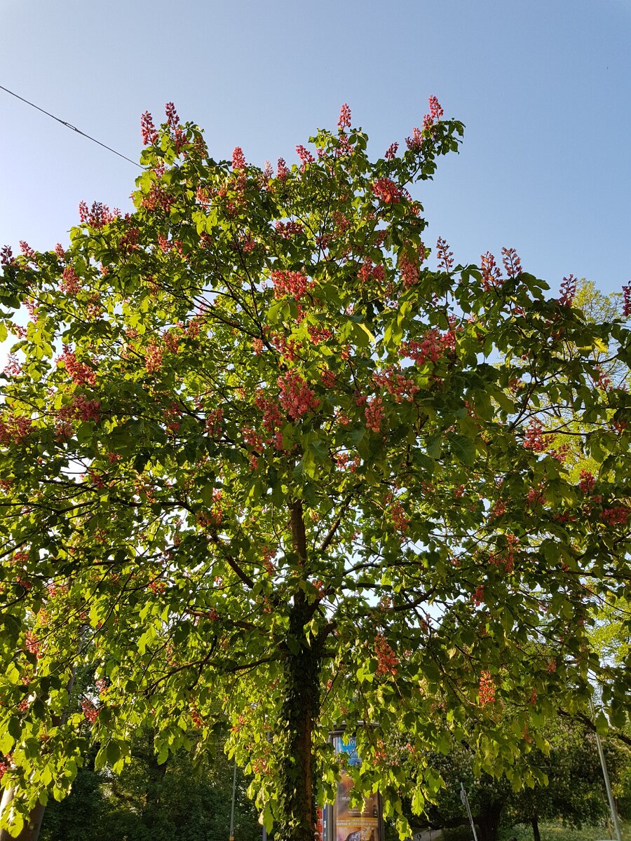 фото: @mymunchenН