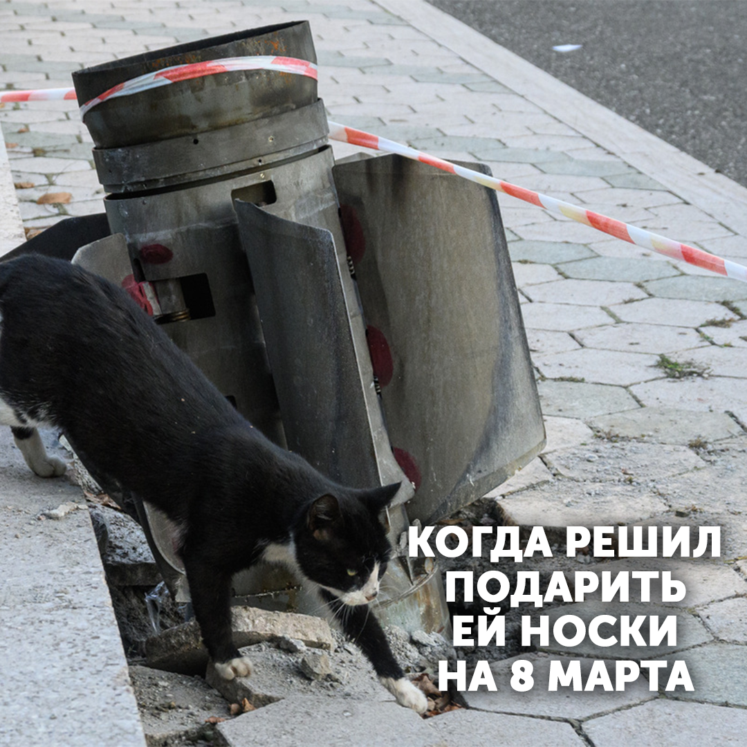 А вы рискнули бы?