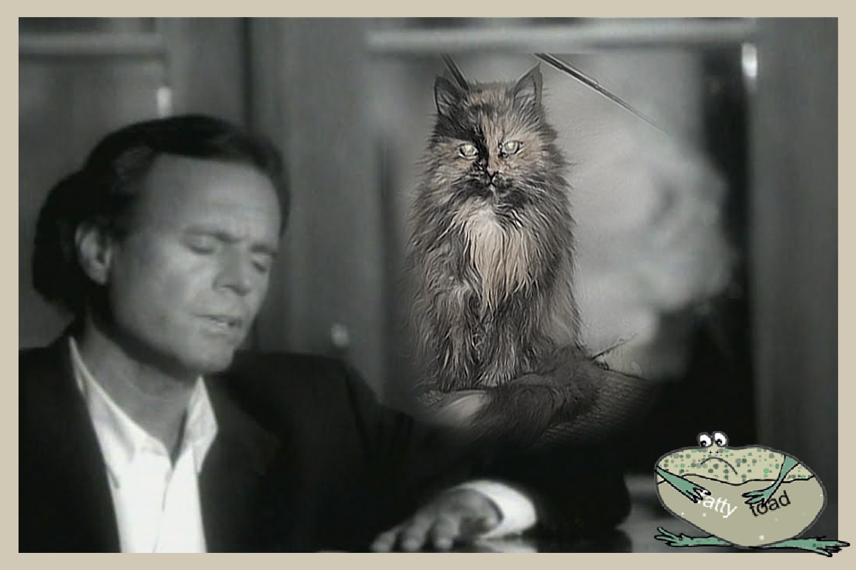 Кадр для монтажа взят из открытого источника.