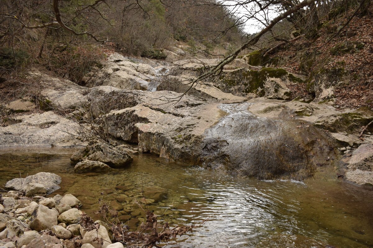 8 марта 2021 год