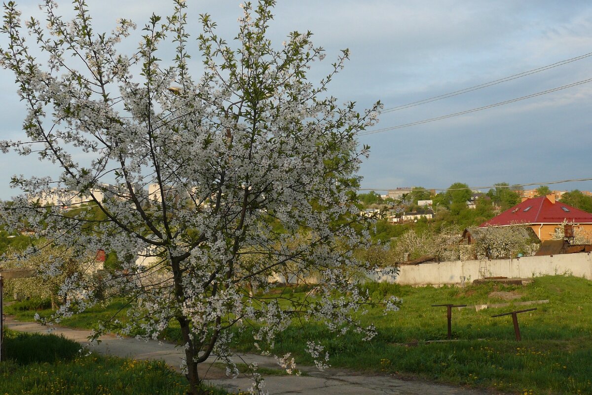  Вид на центр Курска со стороны реки Кур. Фото автора.