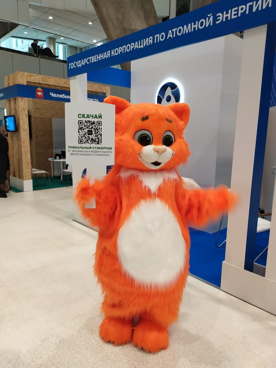 Котики в Сколково