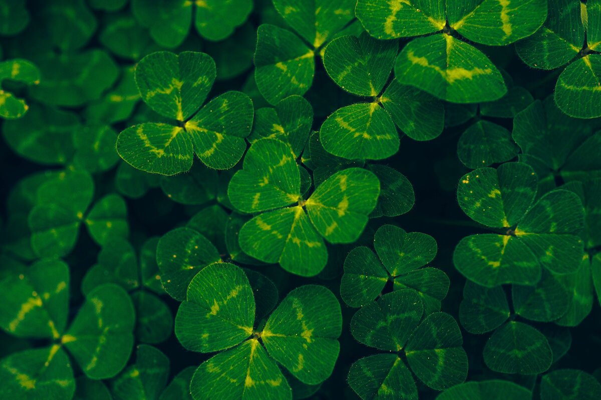 Фотография взята с https://unsplash.com/