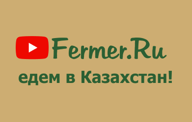Едем в Казахстан! Fermer.ru